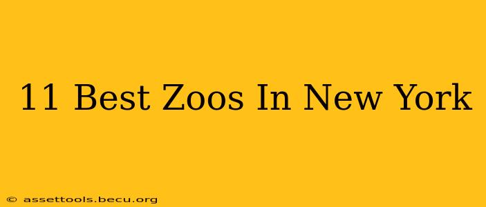 11 Best Zoos In New York