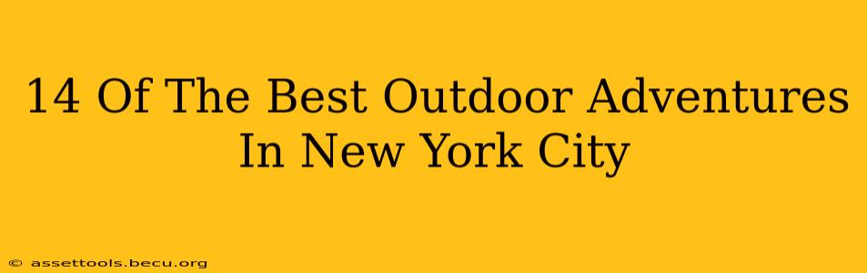 14 Of The Best Outdoor Adventures In New York City