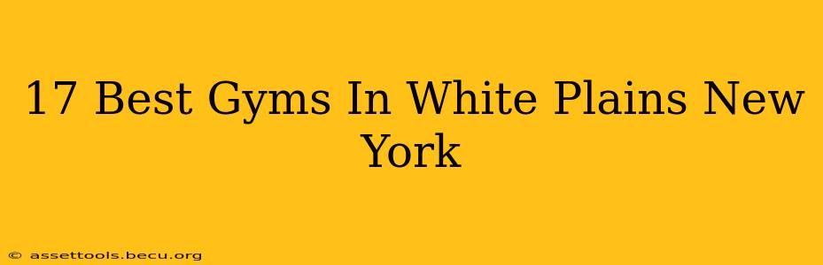 17 Best Gyms In White Plains New York
