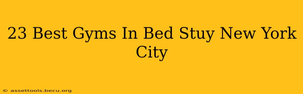 23 Best Gyms In Bed Stuy New York City