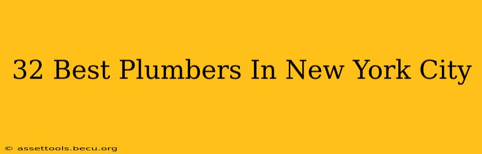 32 Best Plumbers In New York City