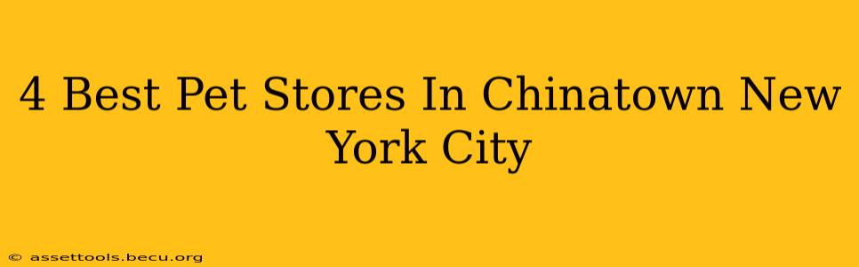 4 Best Pet Stores In Chinatown New York City
