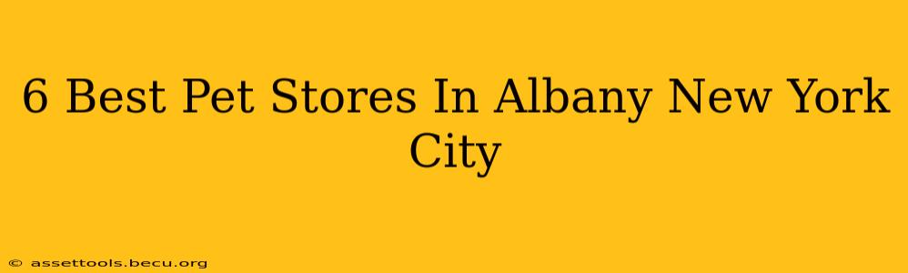 6 Best Pet Stores In Albany New York City