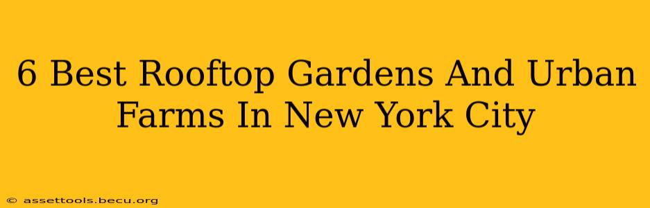 6 Best Rooftop Gardens And Urban Farms In New York City