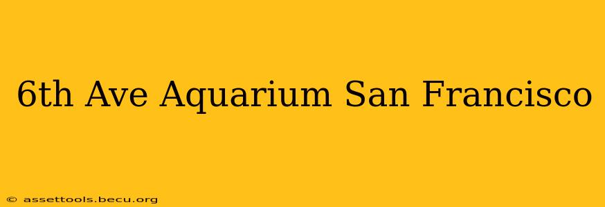 6th Ave Aquarium San Francisco