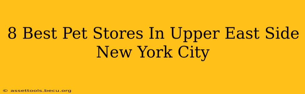 8 Best Pet Stores In Upper East Side New York City