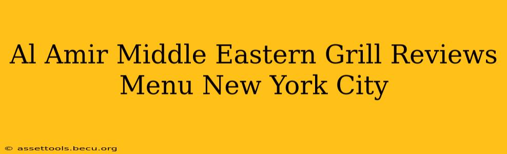 Al Amir Middle Eastern Grill Reviews Menu New York City