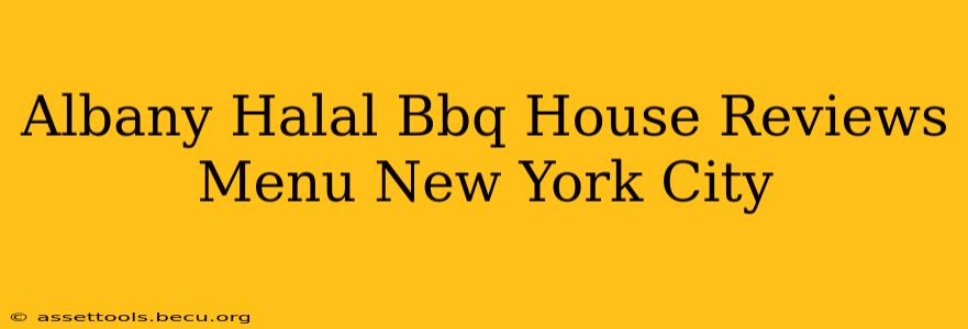Albany Halal Bbq House Reviews Menu New York City