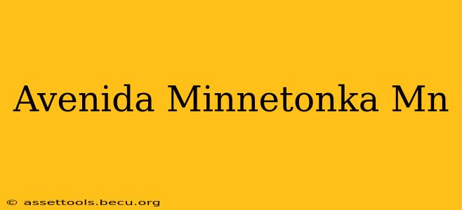Avenida Minnetonka Mn