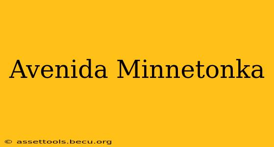Avenida Minnetonka