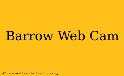 Barrow Web Cam