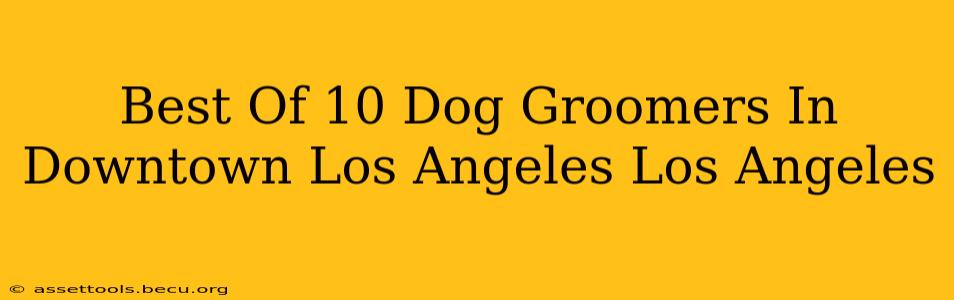 Best Of 10 Dog Groomers In Downtown Los Angeles Los Angeles