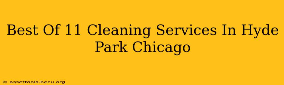 Best Of 11 Cleaning Services In Hyde Park Chicago