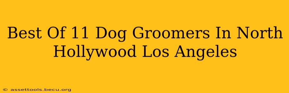 Best Of 11 Dog Groomers In North Hollywood Los Angeles