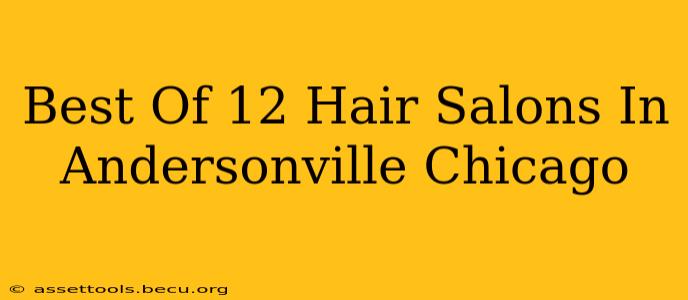 Best Of 12 Hair Salons In Andersonville Chicago