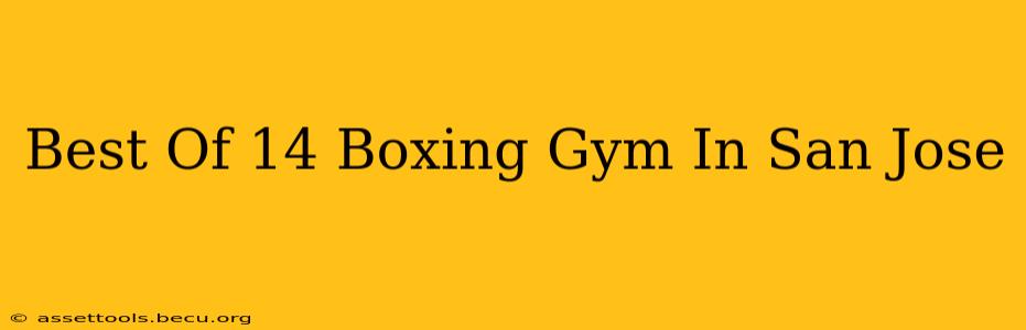 Best Of 14 Boxing Gym In San Jose