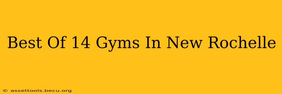 Best Of 14 Gyms In New Rochelle