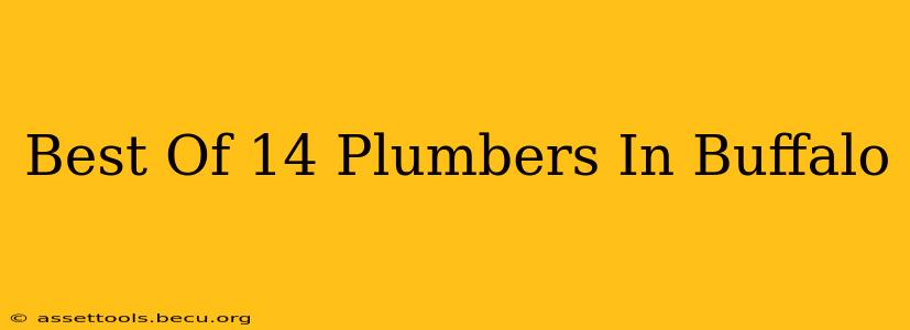 Best Of 14 Plumbers In Buffalo