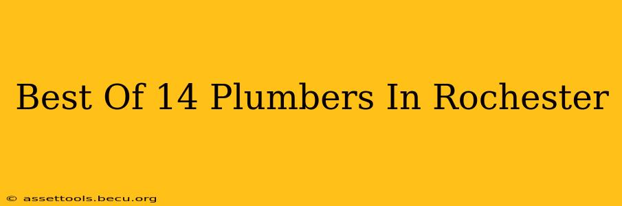 Best Of 14 Plumbers In Rochester