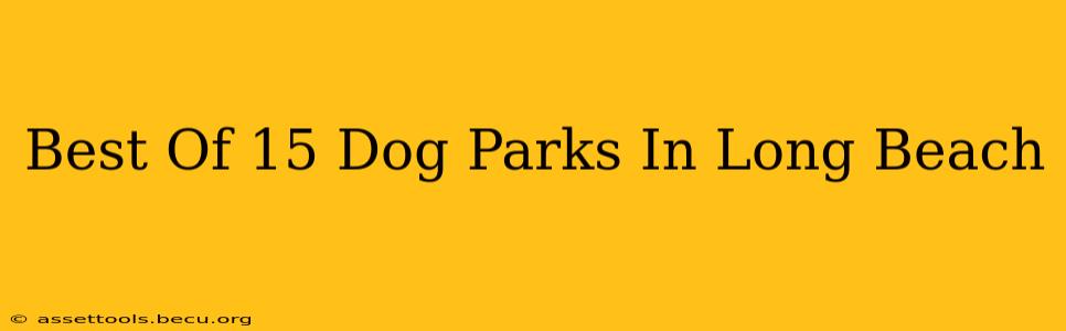 Best Of 15 Dog Parks In Long Beach