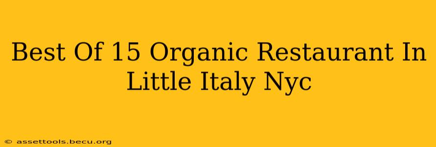 Best Of 15 Organic Restaurant In Little Italy Nyc