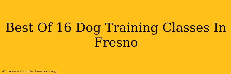 Best Of 16 Dog Training Classes In Fresno