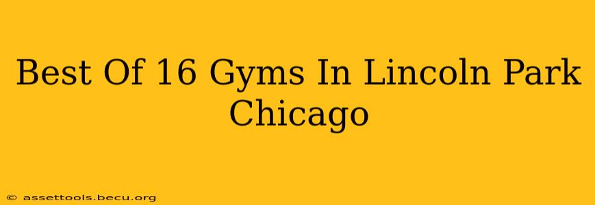 Best Of 16 Gyms In Lincoln Park Chicago