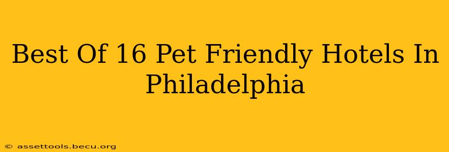 Best Of 16 Pet Friendly Hotels In Philadelphia