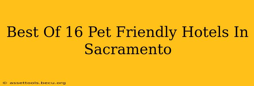 Best Of 16 Pet Friendly Hotels In Sacramento