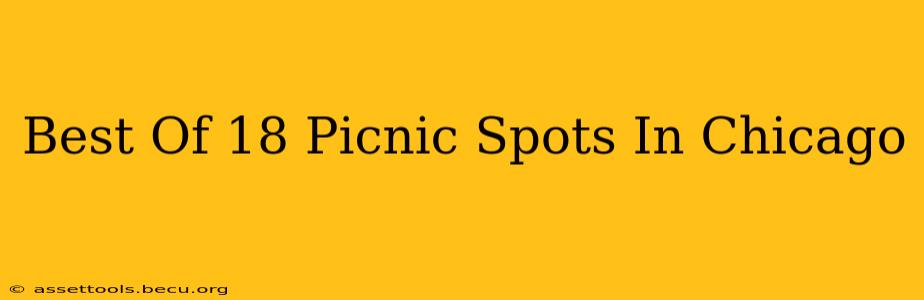 Best Of 18 Picnic Spots In Chicago