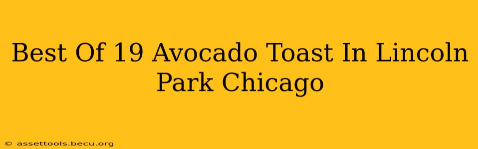 Best Of 19 Avocado Toast In Lincoln Park Chicago
