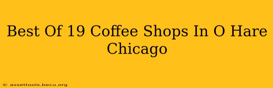 Best Of 19 Coffee Shops In O Hare Chicago