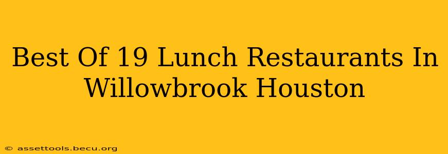 Best Of 19 Lunch Restaurants In Willowbrook Houston