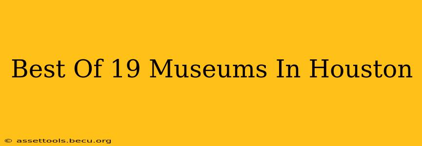 Best Of 19 Museums In Houston