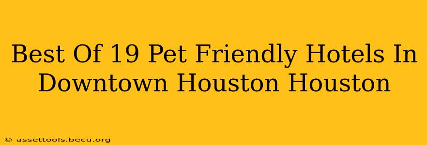 Best Of 19 Pet Friendly Hotels In Downtown Houston Houston