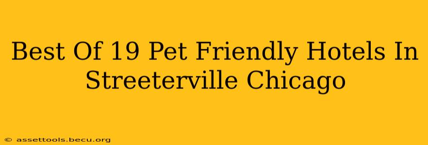 Best Of 19 Pet Friendly Hotels In Streeterville Chicago