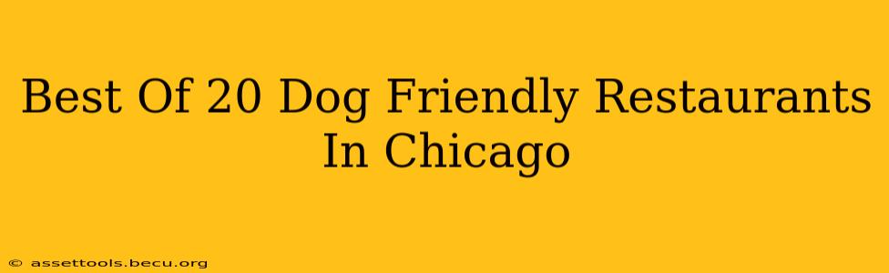 Best Of 20 Dog Friendly Restaurants In Chicago