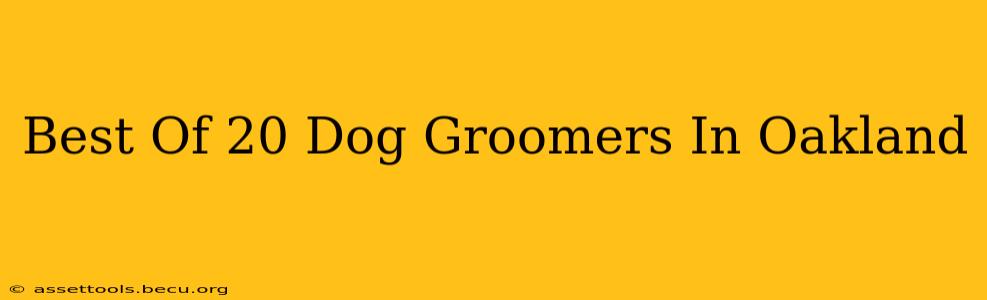 Best Of 20 Dog Groomers In Oakland