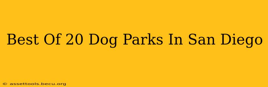 Best Of 20 Dog Parks In San Diego