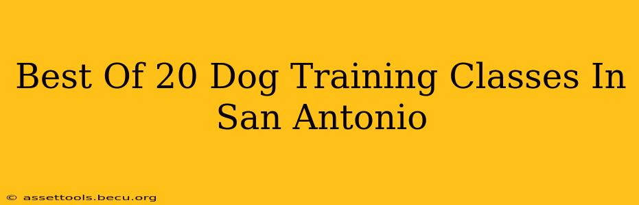 Best Of 20 Dog Training Classes In San Antonio