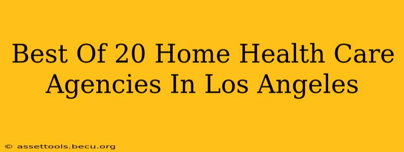 Best Of 20 Home Health Care Agencies In Los Angeles