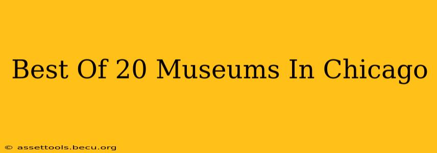 Best Of 20 Museums In Chicago