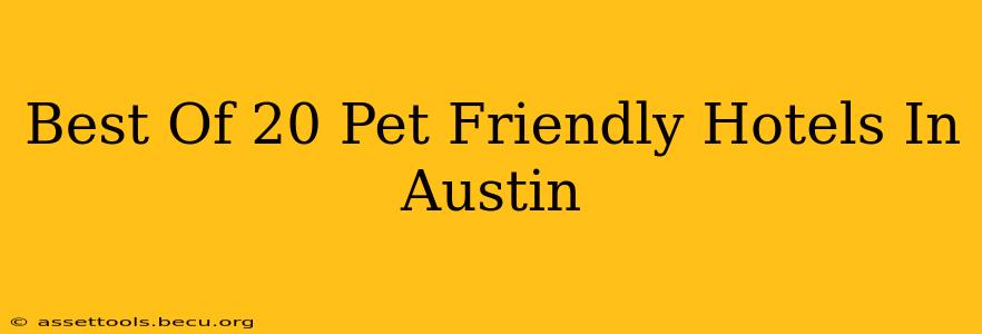 Best Of 20 Pet Friendly Hotels In Austin