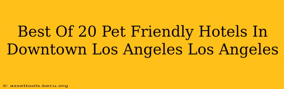 Best Of 20 Pet Friendly Hotels In Downtown Los Angeles Los Angeles