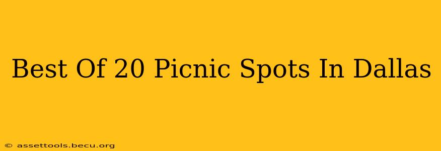 Best Of 20 Picnic Spots In Dallas