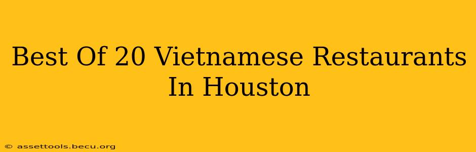 Best Of 20 Vietnamese Restaurants In Houston