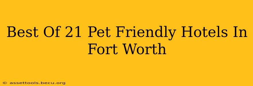 Best Of 21 Pet Friendly Hotels In Fort Worth