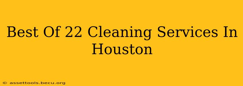 Best Of 22 Cleaning Services In Houston