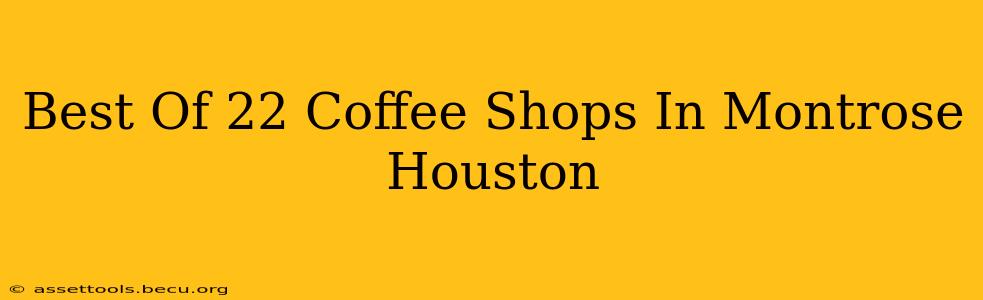 Best Of 22 Coffee Shops In Montrose Houston