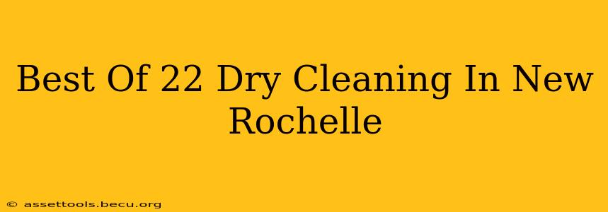 Best Of 22 Dry Cleaning In New Rochelle